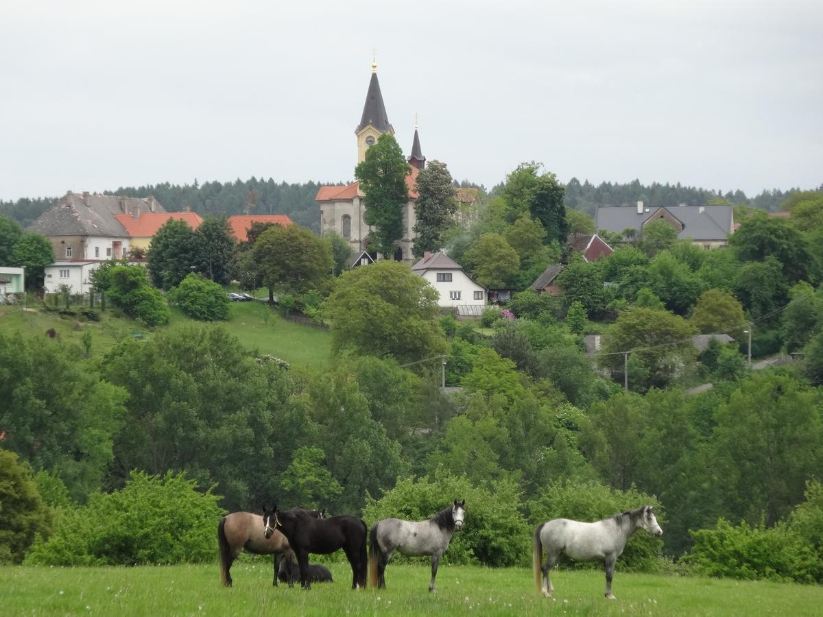 Hostinec U Janatu S Ubytovanim Cestin Exterior foto